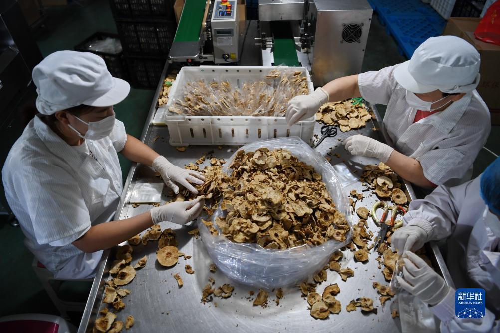 集结娱乐网站是多少
